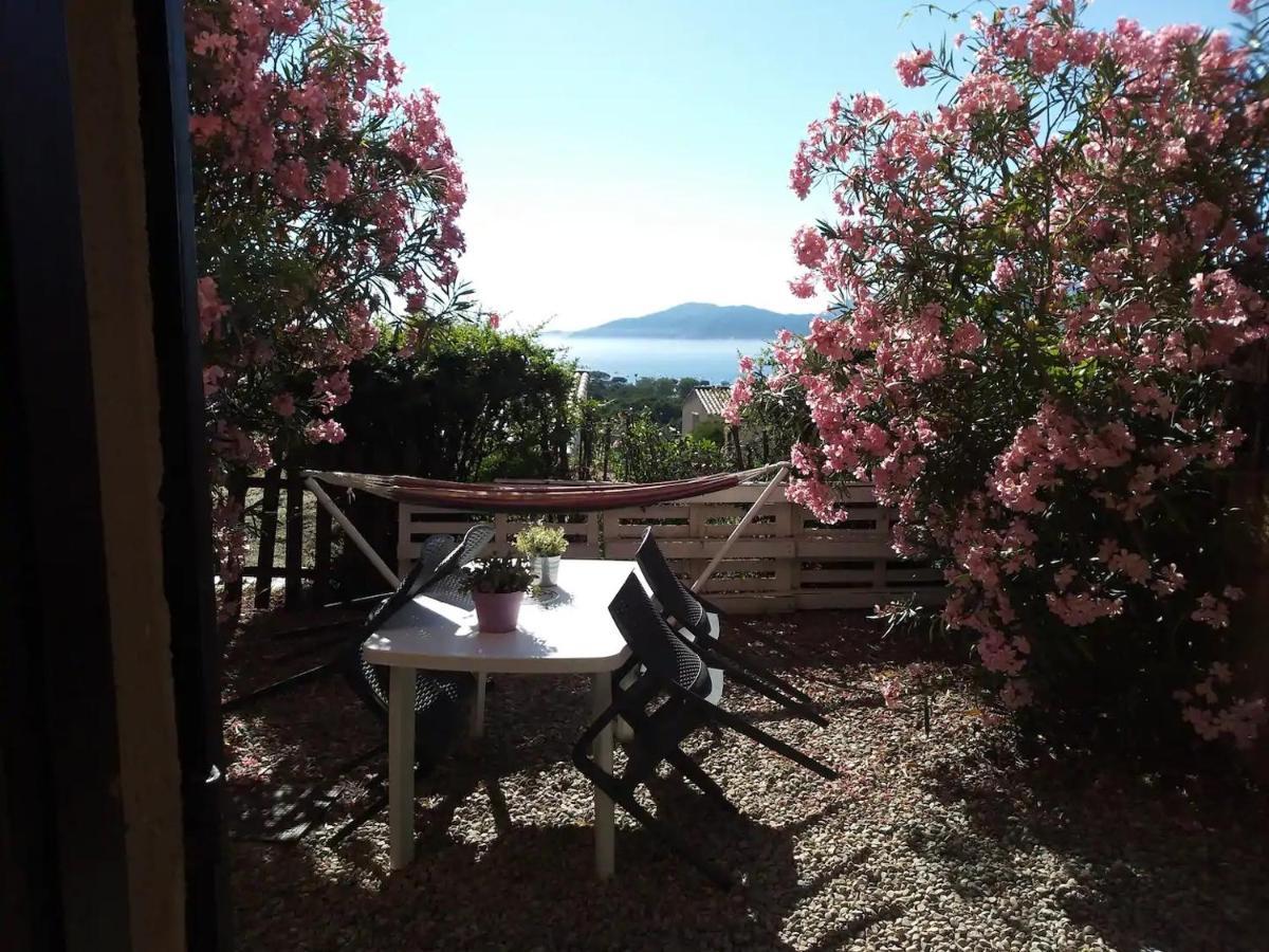Studio Jardin A Porticcio, Proche Aeroport Ajaccio Daire Porticcio  Dış mekan fotoğraf